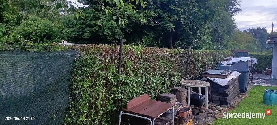 Elektryczne nożyce do żywopłotu 450w Sprawne 100 Mysłowice