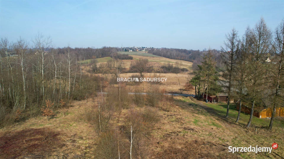 sprzedaży działki 5700m2 Krzyszkowice