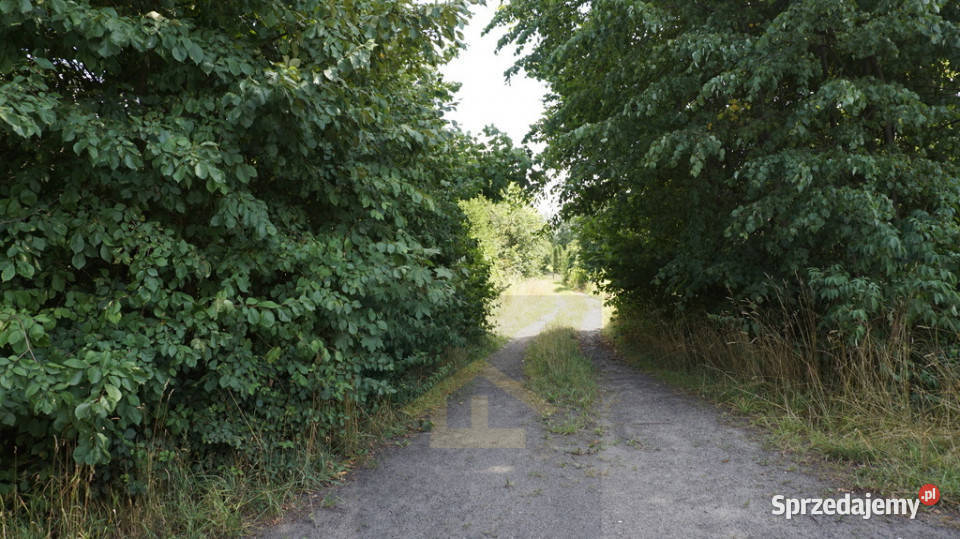 Działka gruntowa w Otwocku Wielkim pałacem