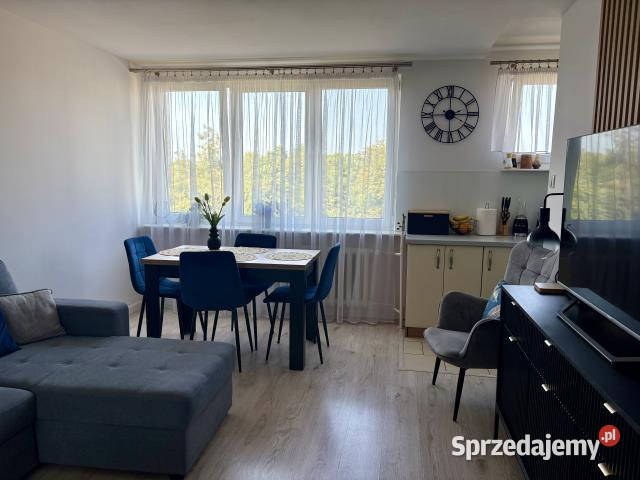sprzedaży mieszkania 48m2 3 pok Pruszków Sprzedaż sprzedam