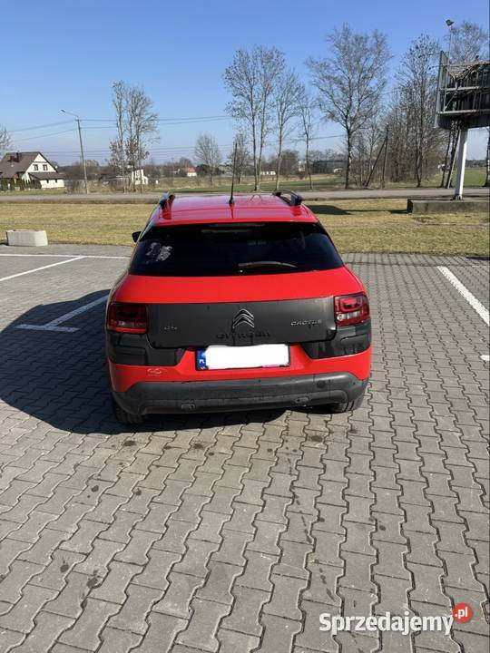 Sprzedam citroena cactusa nowy rozrząd niski C4 Cactus Stary Lubotyń sprzedam