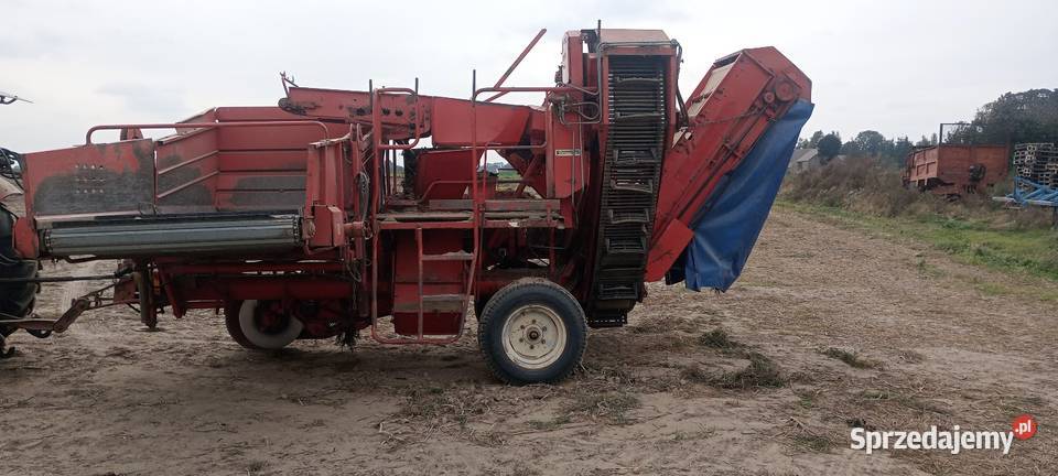 Grimme lk 650 pomorskie Nowy Dwór