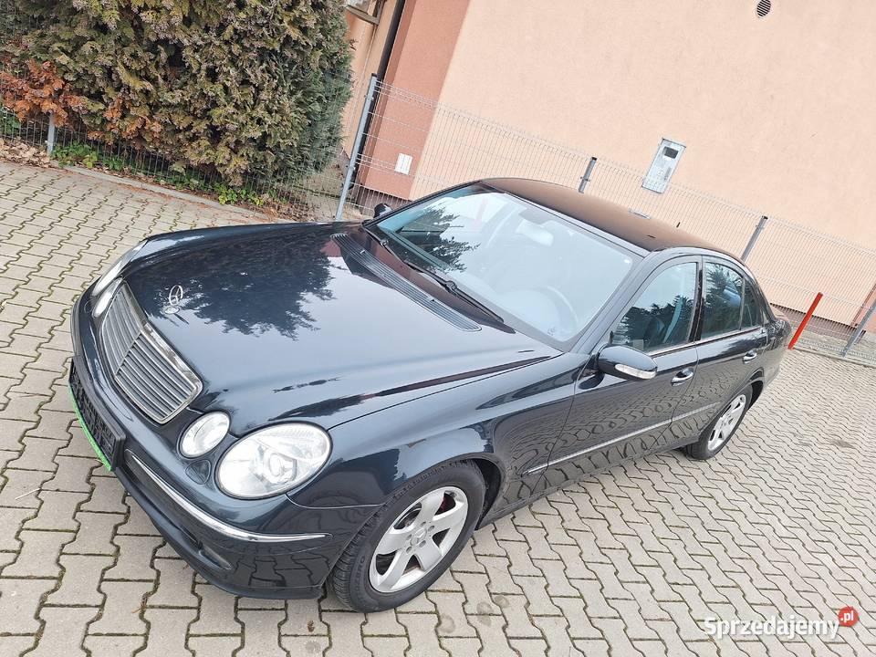 sprowadzony serwisowany na łańcuchu rozrządu 4/5 Zamość