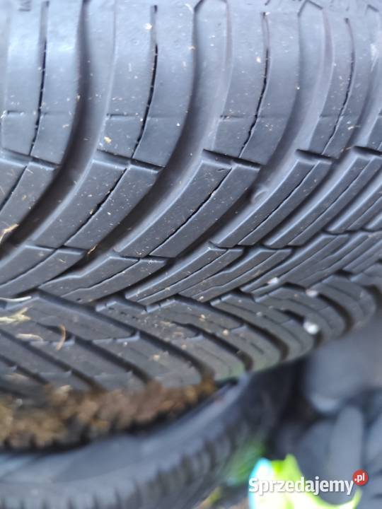 Koła aluminiowe 2055516 opony Pirelli MS