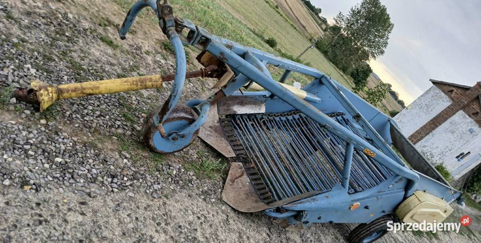 Kopaczka elewatorowa do ziemniaków Mało Używana Izbica