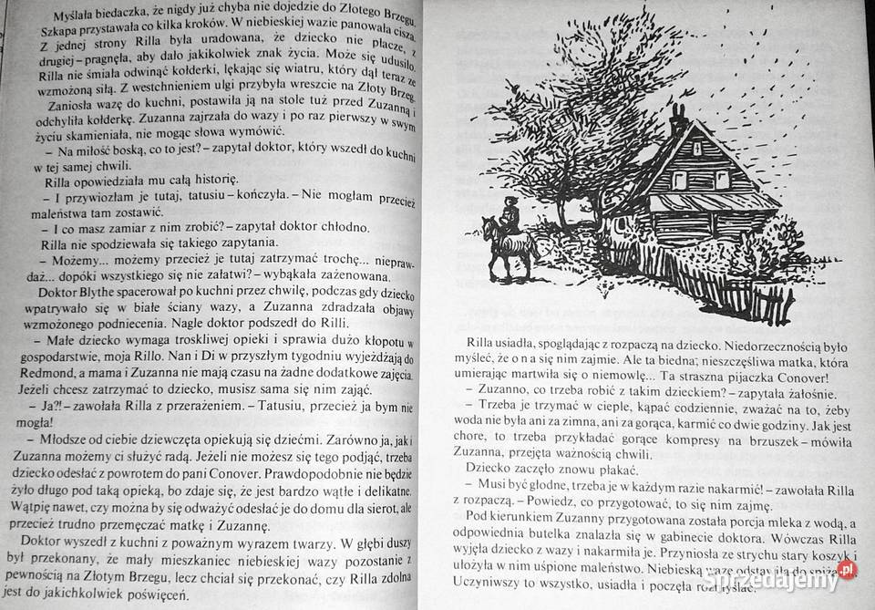Rilla ze Złotego Brzegu Lucy Maud Montgomery