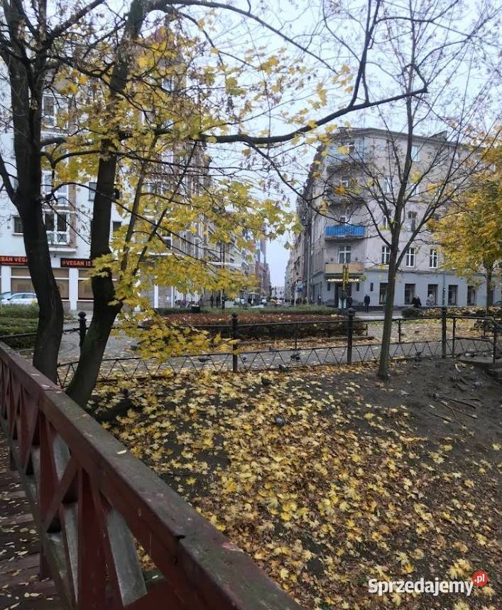 2pok 58met Podwale PIWNICA Wrocław sprzedam