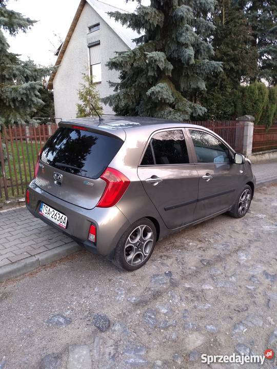 Kia Picanto 12 Business Line 2016 I właściciel Sandomierz