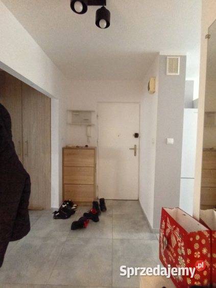 Palmowa 49 m2 2 pokoje