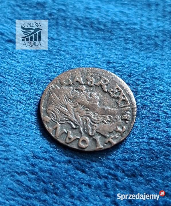 Szeląg Jan II Kazimierz litewski 16591668 Wejherowo sprzedam