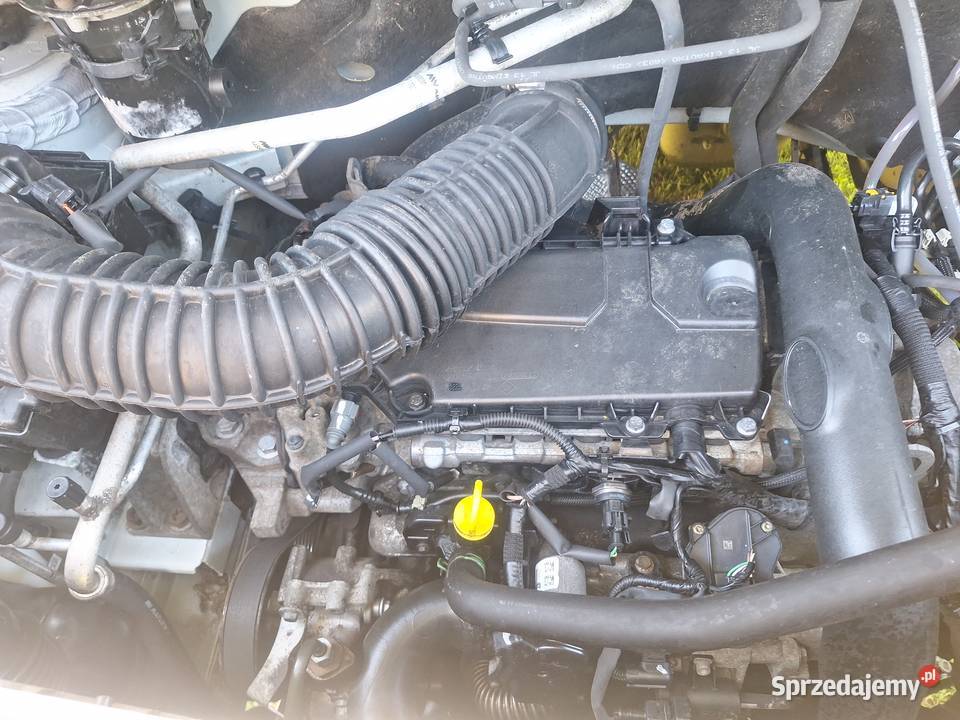 Opel Movano 2014 blaszak długi wysoki pomorskie Lębork