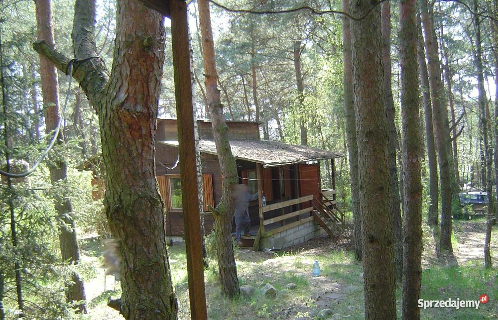 Działka budowlana Kania Polska Kania Polska sprzedam