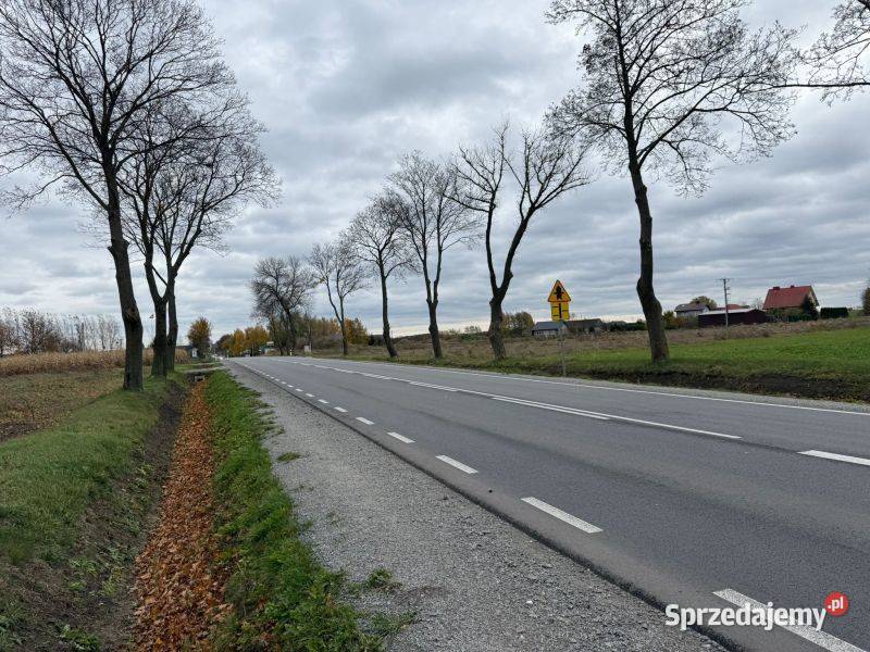 działki z doskonałą lokalizacją trasie asfalt Gostynin
