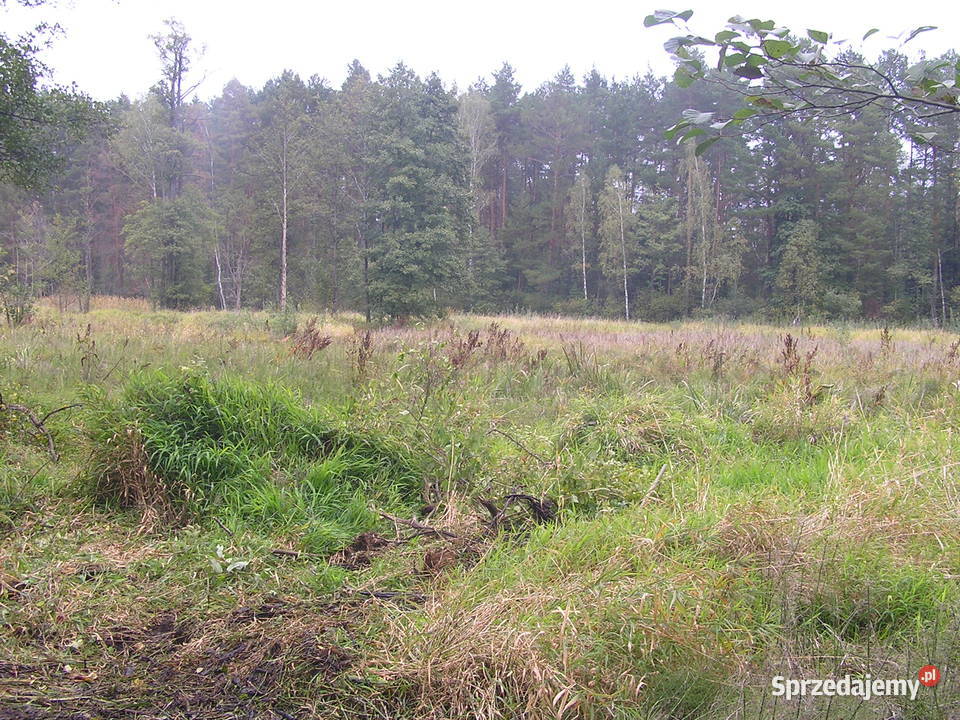 Zlecę wykonanie zbiornika rekreacyjnego Holendry