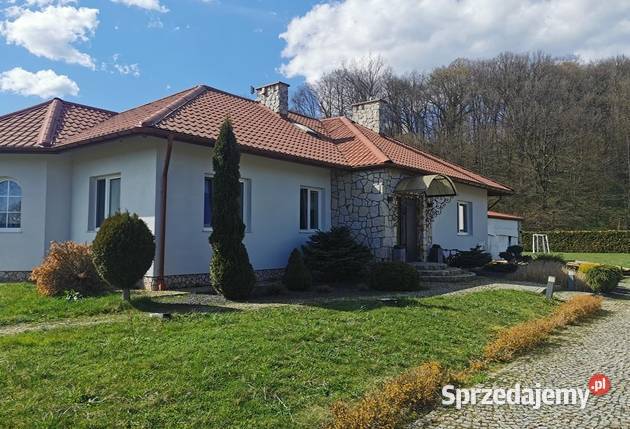 SYNDYK SPRZEDA DOM JEDNORODZINNY W ROZTOCE GMINA Zakliczyn