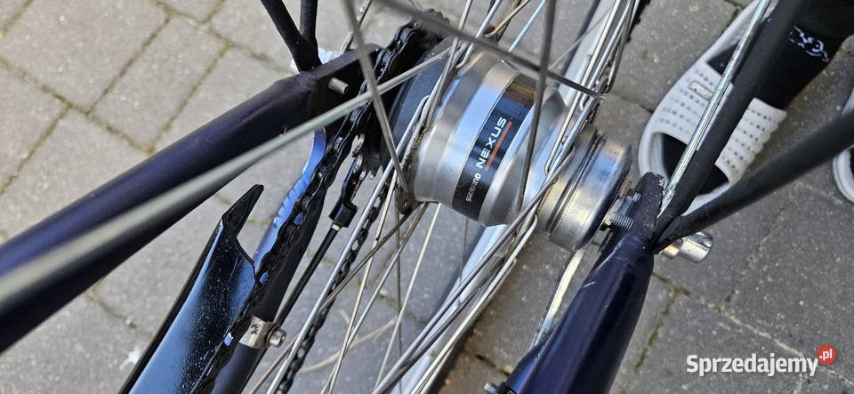 Pegasus NEXUS 7biegów prądnica w piaście Płońsk