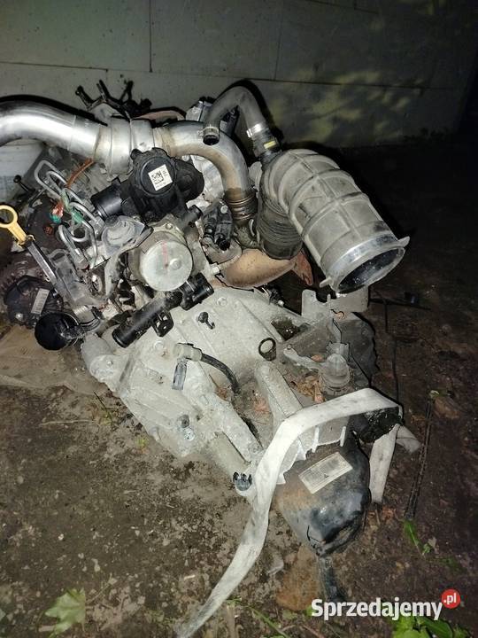 Skrzynia biegów Renault Megane2 2008r 15dci 1200 Skrzynie biegów manualne pomorskie Mosty