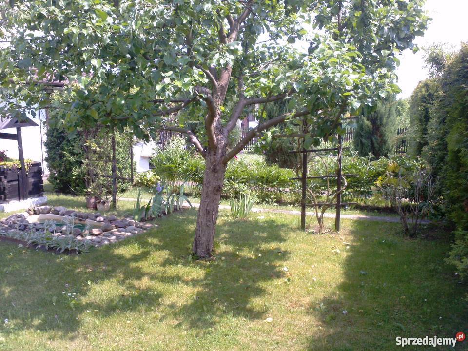 Działka rekreacyjna 560m ogródki działkowe Mielec