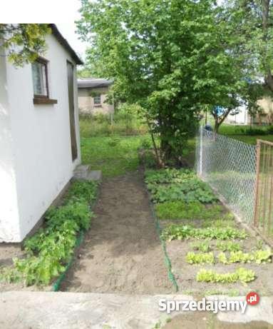 Działka rekreacyjna ROD Metron Rudak siatka Toruń