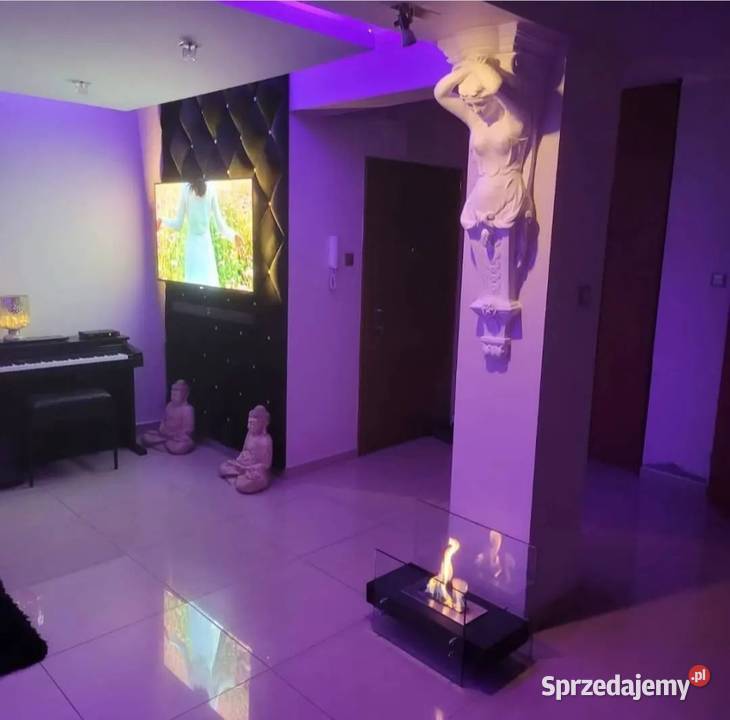 SZTUKATERIA GIPSOWA SZTUKATERIA PŁASKORZEŹBA inny kolor Zielona Góra