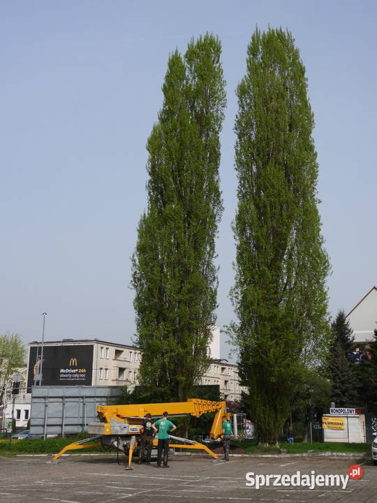 Podnośnik Koszowy OMME 3700RBDJ Gdańsk
