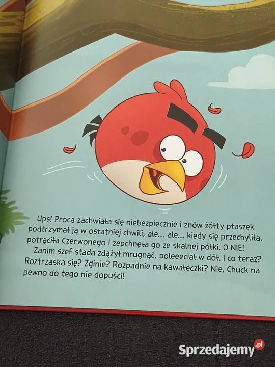 angry birds Chuck ma czas kolekcja ptasich Poznań