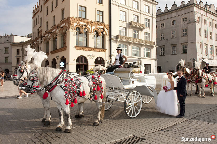 FotoVideoCentrum cała Małopolska małopolskie Andrychów