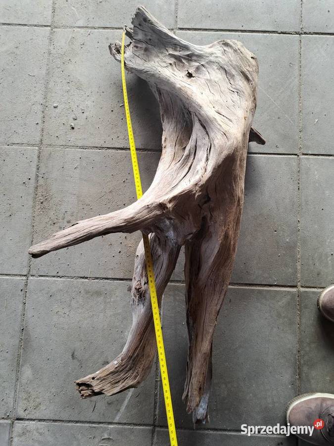 Korzeń korzenie do akwarium Lublin