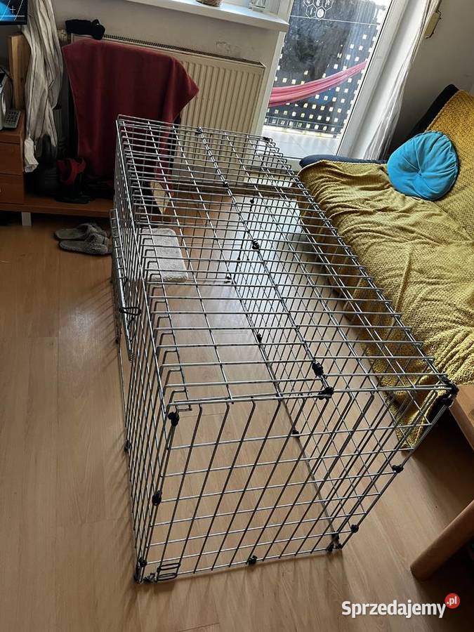 Kojec Kościan sprzedam