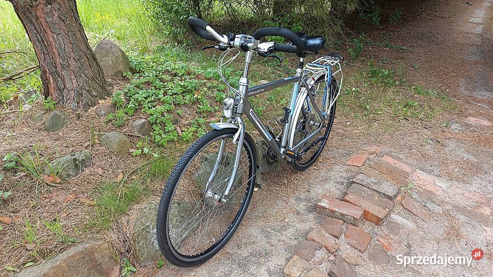 Alu Rower Miejski Męski Gazelle Fuente Plus V24 Wołów