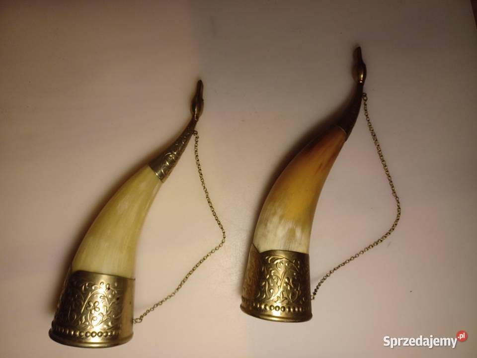 Piękny róg okuty mosiądzem wielkopolskie Poznań sprzedam