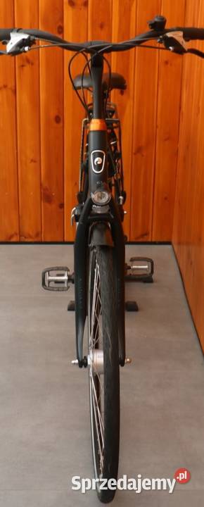 Rower damski Batavus Fuze D 57 I inne rowery