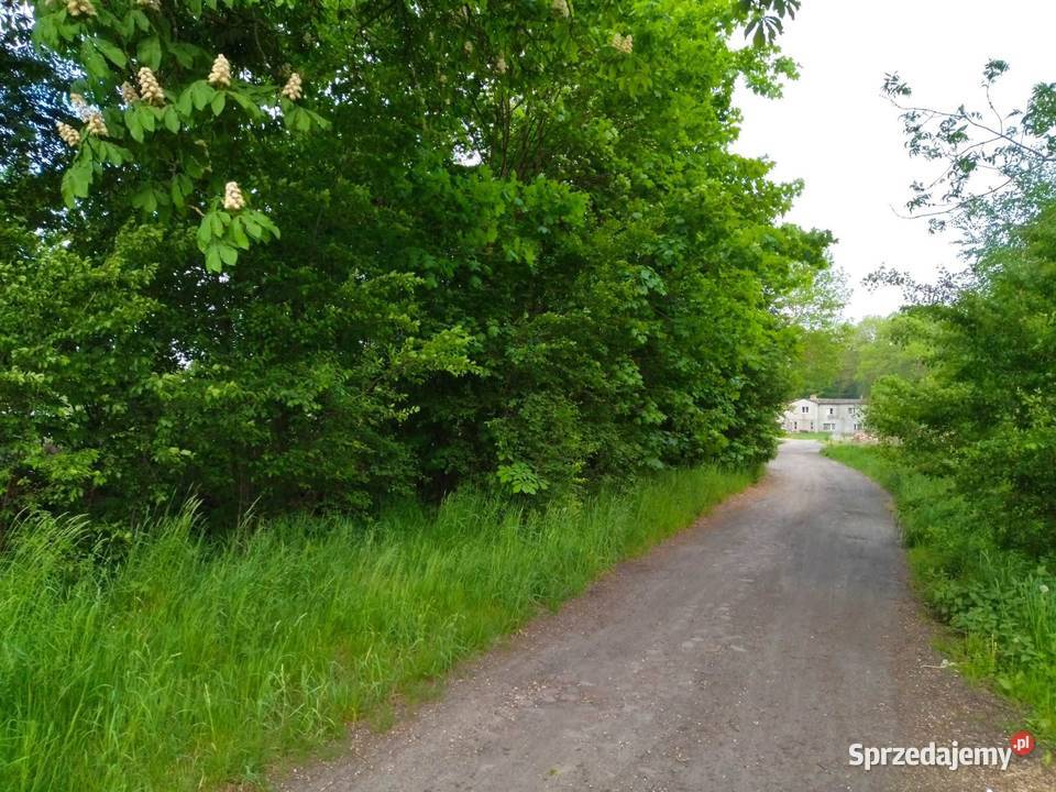 Działka budowlana drodze asfaltowej Darżewo