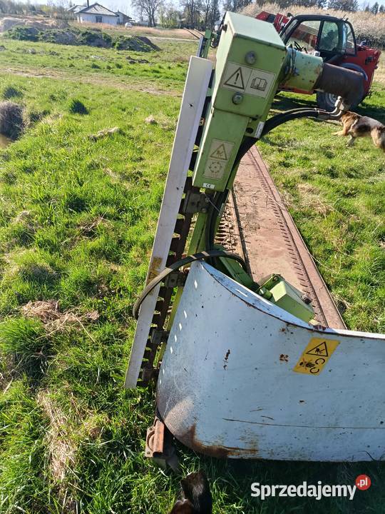 Przystawka do rzepaku Claas lexsion 440 Nowogard