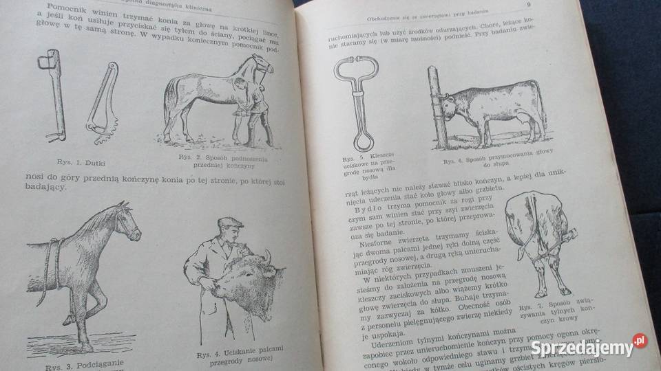 Patologia i terapia szczegółowa Boczarow 1950 Łódź sprzedam