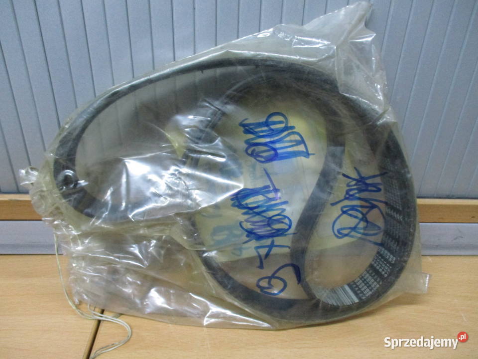 Pasek wielorowkowy Man 51968200239 Pozostałe kujawsko-pomorskie Mogilno