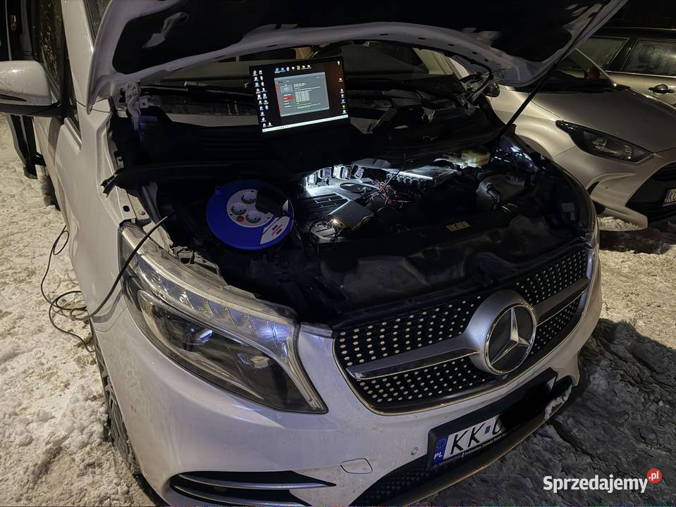 AdBlueDPFEGR ochrona komponentu chiptuning Olkusz