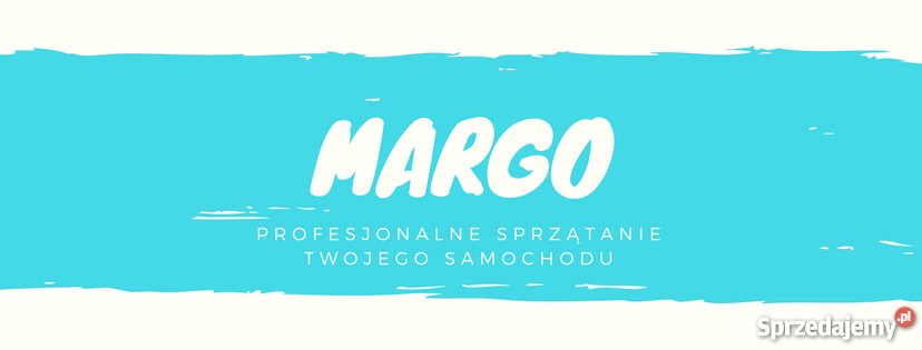 Profesjonalne pranie tapicerki urządzeniami Lubaczów usługi moto