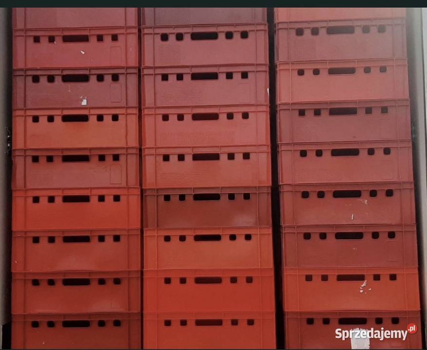 Plastiki e2 na mięso Kostera