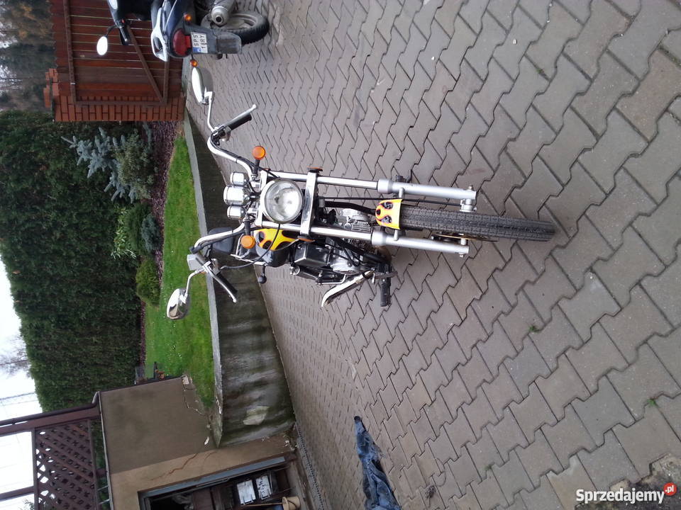 Mini Chopper Kingway Łoś śląskie