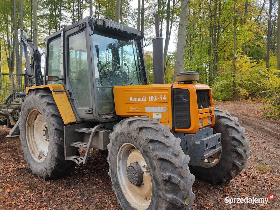 Renault 10354 wielkopolskie Rychtal