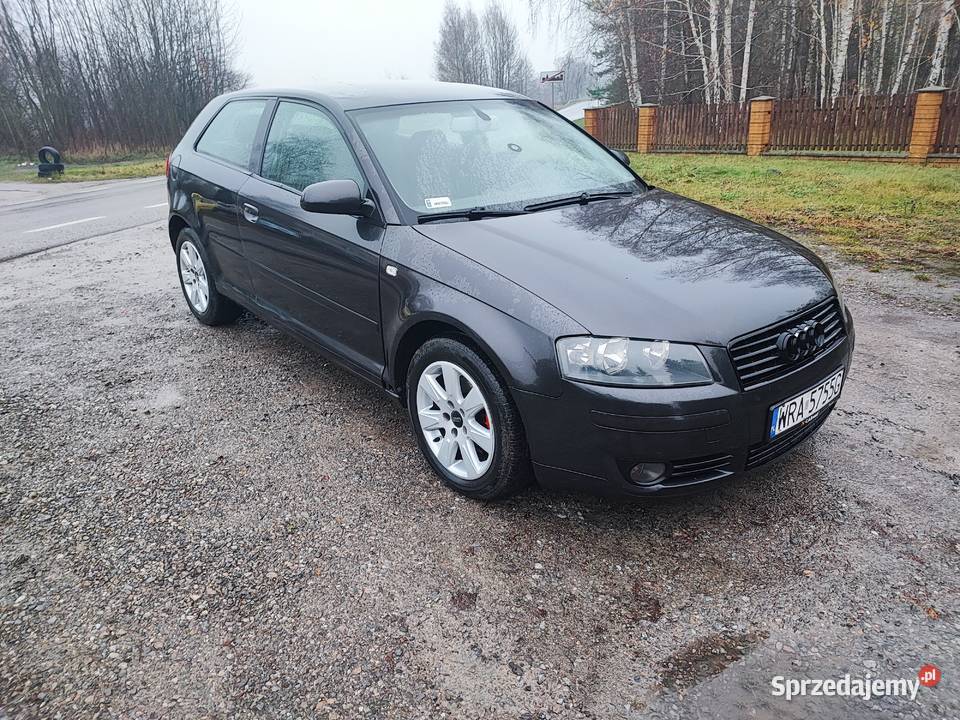 Audi A3 8P 20 TDI lubelskie Lubartów