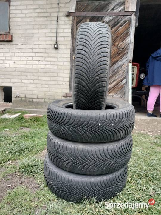 Opony zimowe Michelin 19565 R15