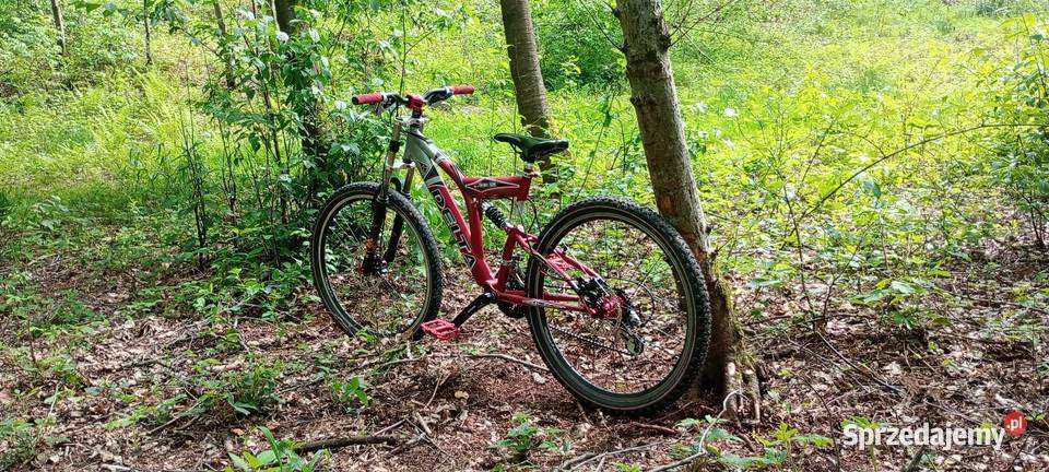 Rower Downhill Delta Sport 505 podkarpackie