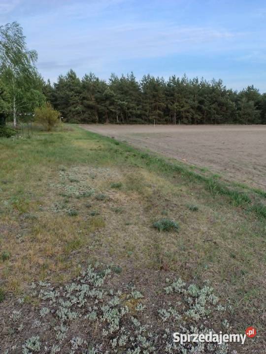 Działka budowlana Sompolno 48zł/m2 Sprzedaż
