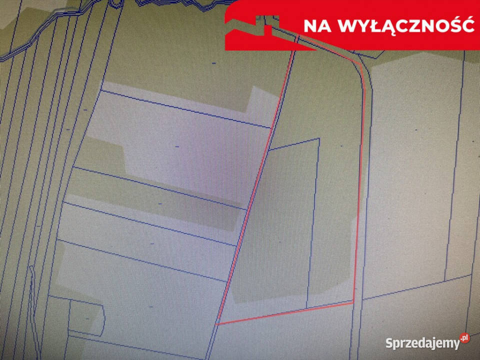 Działka 215 ha z potencjałem koło Nałęczowa Chruszczów-Kolonia sprzedam