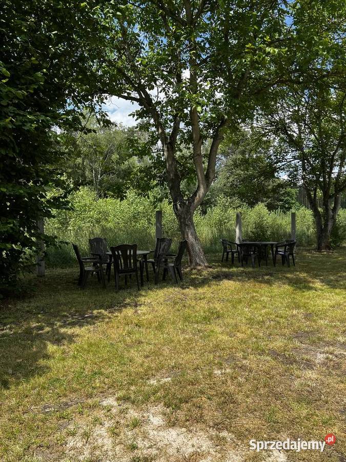 Wynajem działka domek holenderski Czołowo