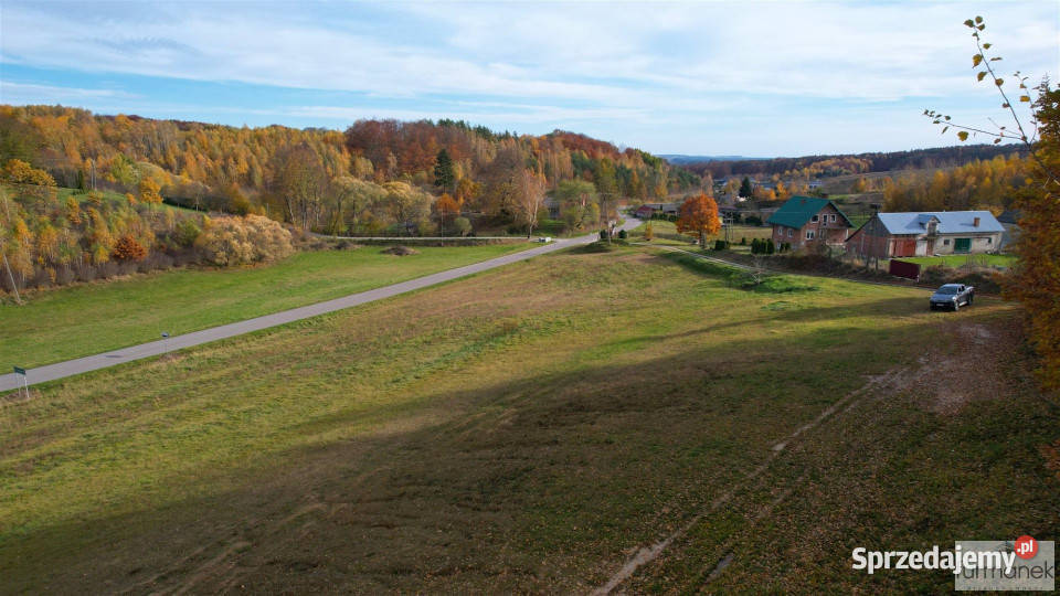 sprzedaży działki TeodorówkaKolonia 2644m2 2644m2 lubelskie