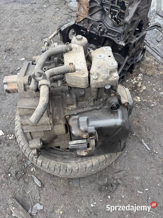 Skrzynia biegów DSG SEAT LEON II 20 TDI Alsi9cu3 wielkopolskie Ostrów Wielkopolski sprzedam