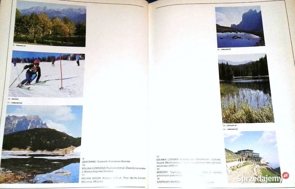 Świat Tatr Miro Gregor Ivan Galfy Jerzy Chełm sprzedam